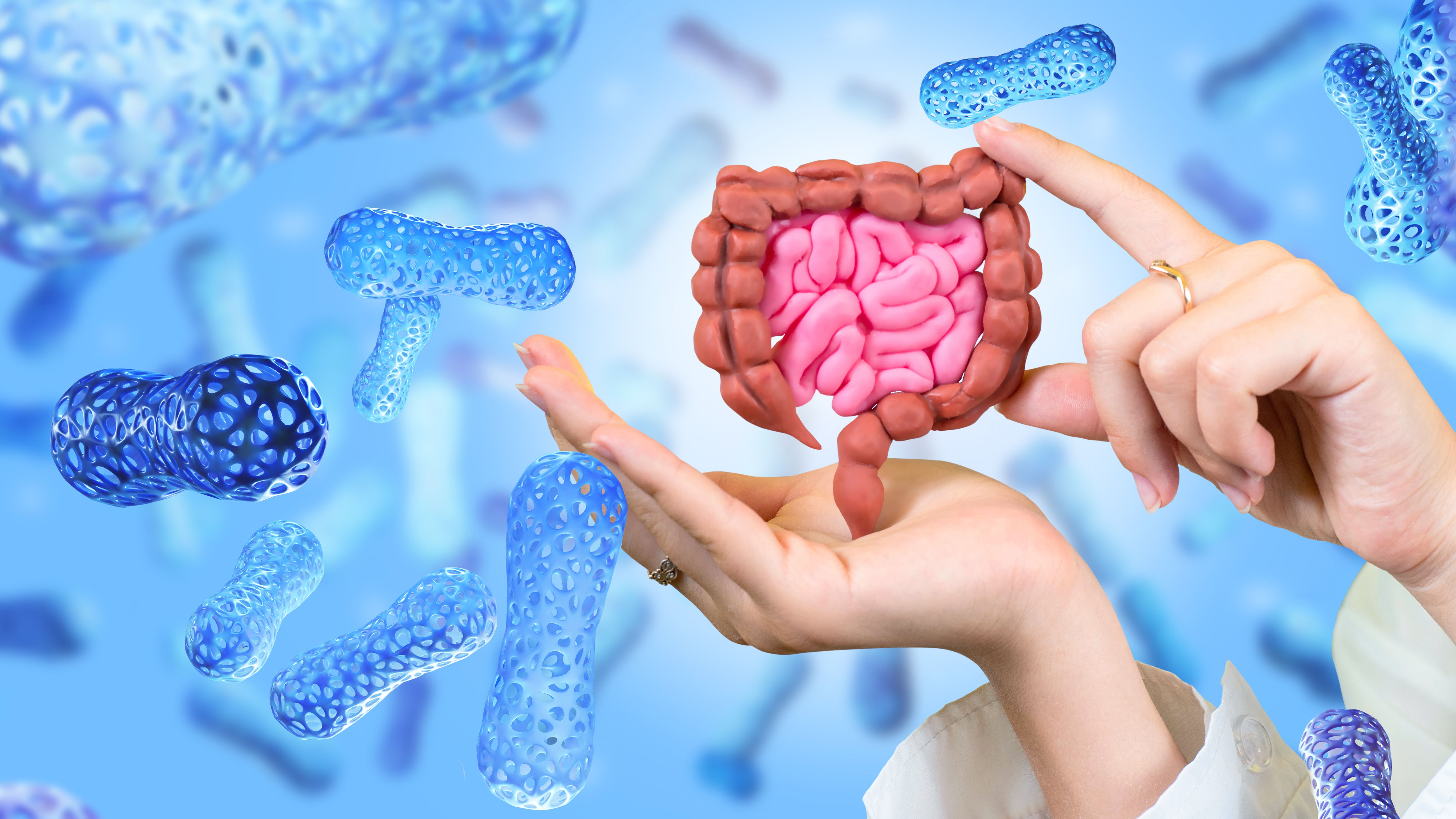 Digestive tract | Image credit: tract_Grispb - stock.adobe.com