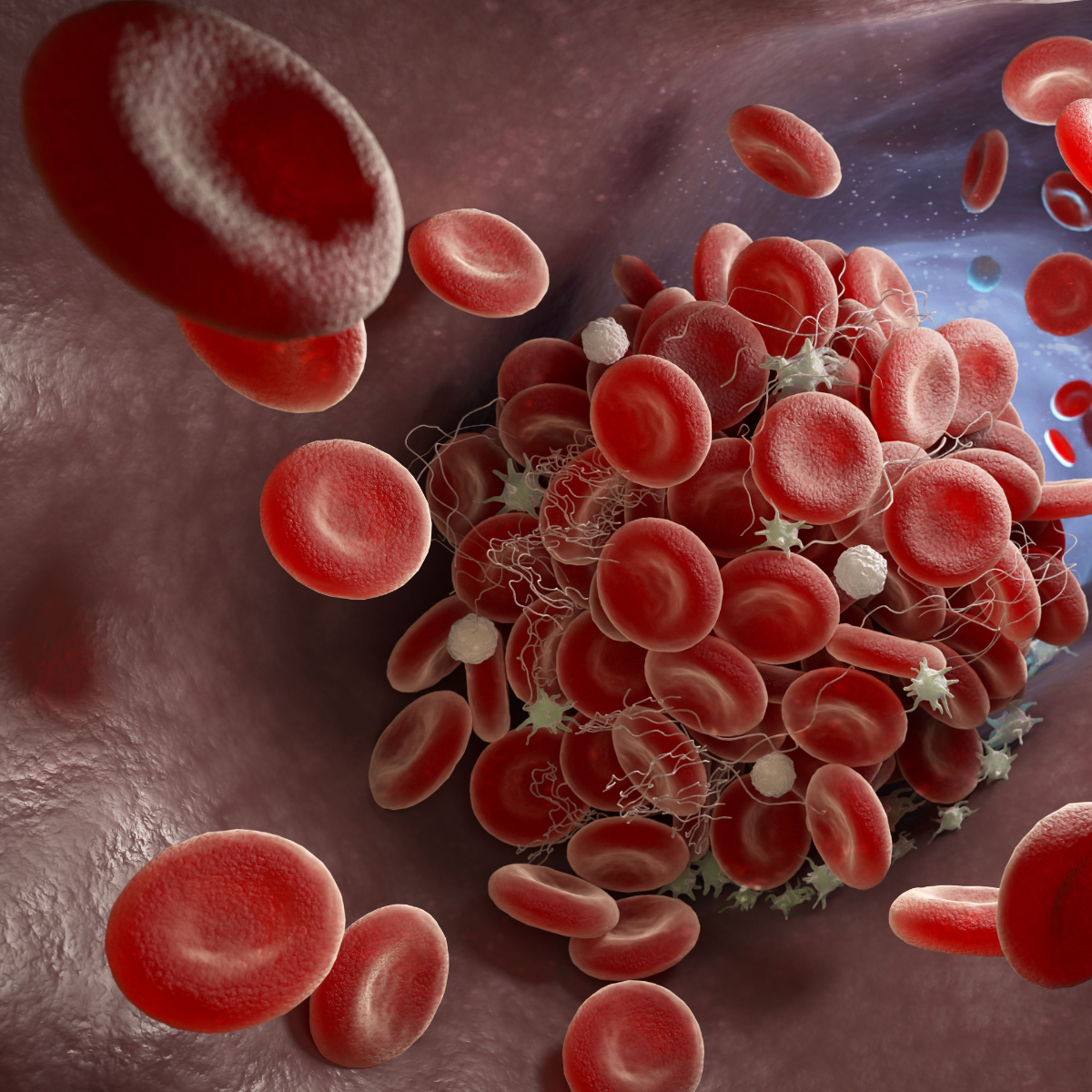 Image of blood cell.