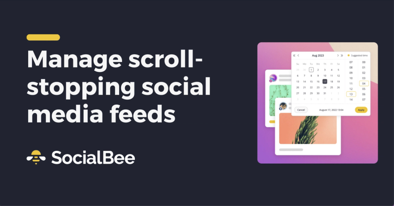 image of SocialBee