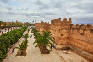 SLR conducted E&S due diligence for a Moroccan bank in 18 African countries, reviewing ESG risks, green finance, and social policies for alignment.