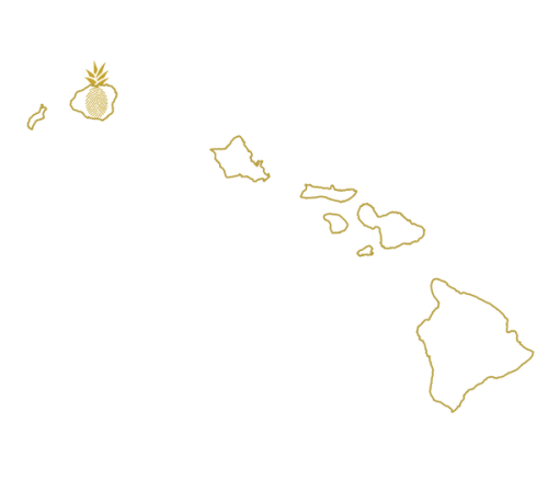 Map with pineapple