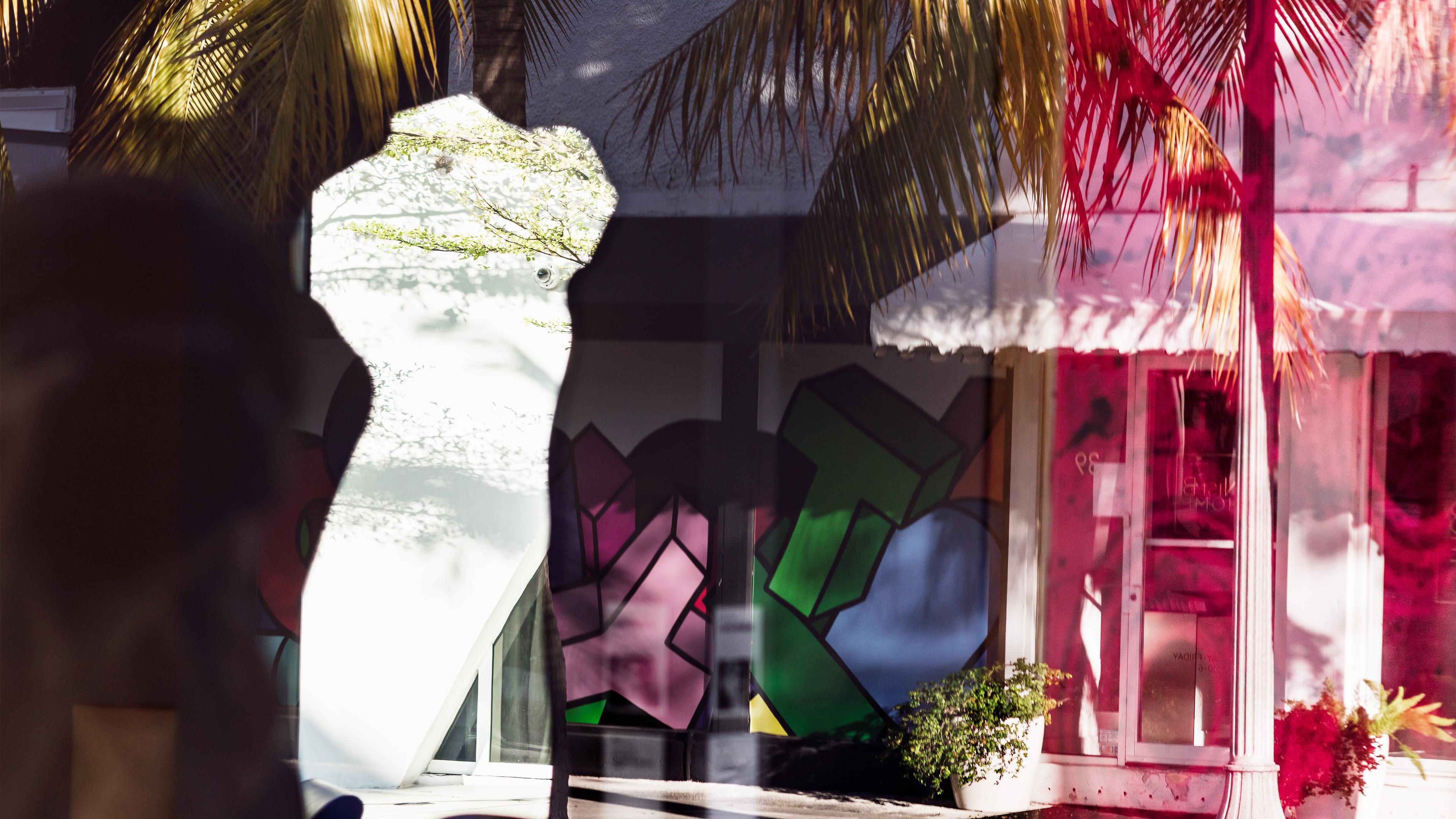 Collage of Miami storefronts palm trees and white torso. 