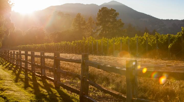 Virtual Tastings