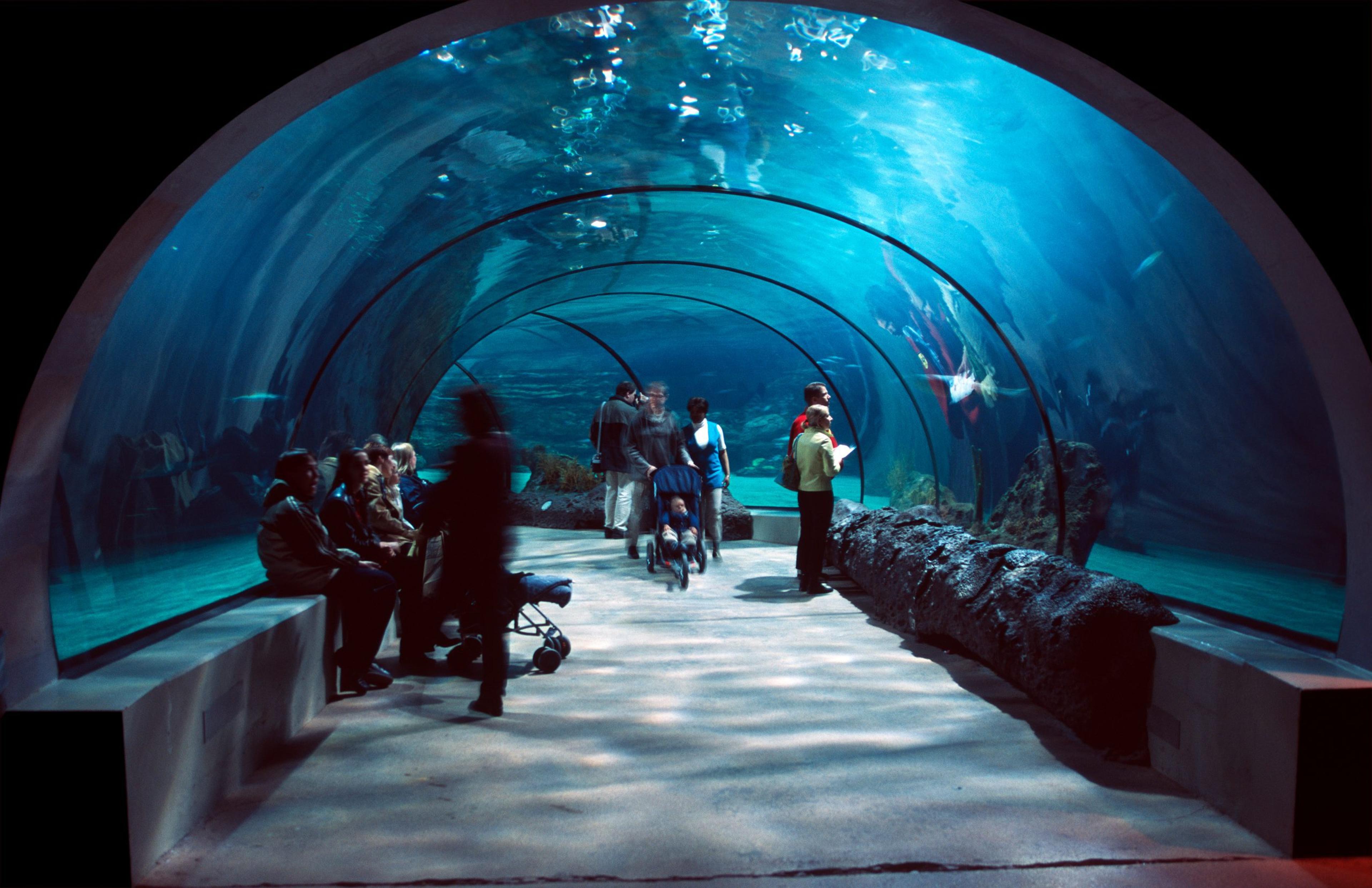 People in a water tunnel.