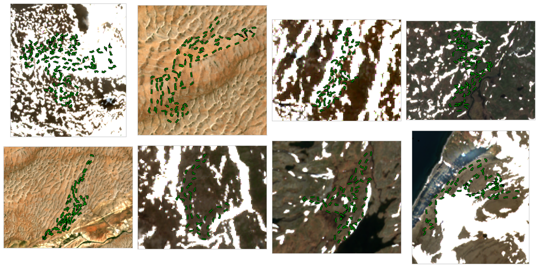 Figure 4: Field boundaries (green) removed because they are too complex to be validated.