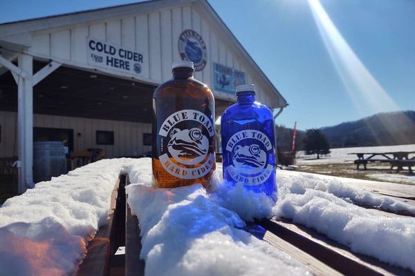 Blue Toad Cidery | Cider Near Me