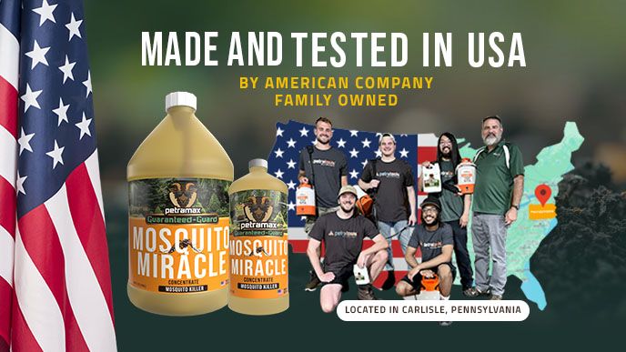 American Family owned company 