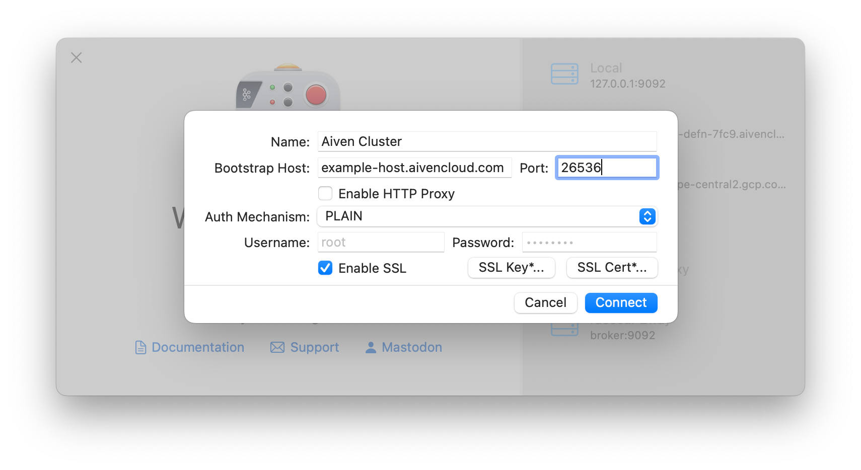 Screenshot of the Franz connection configuration window