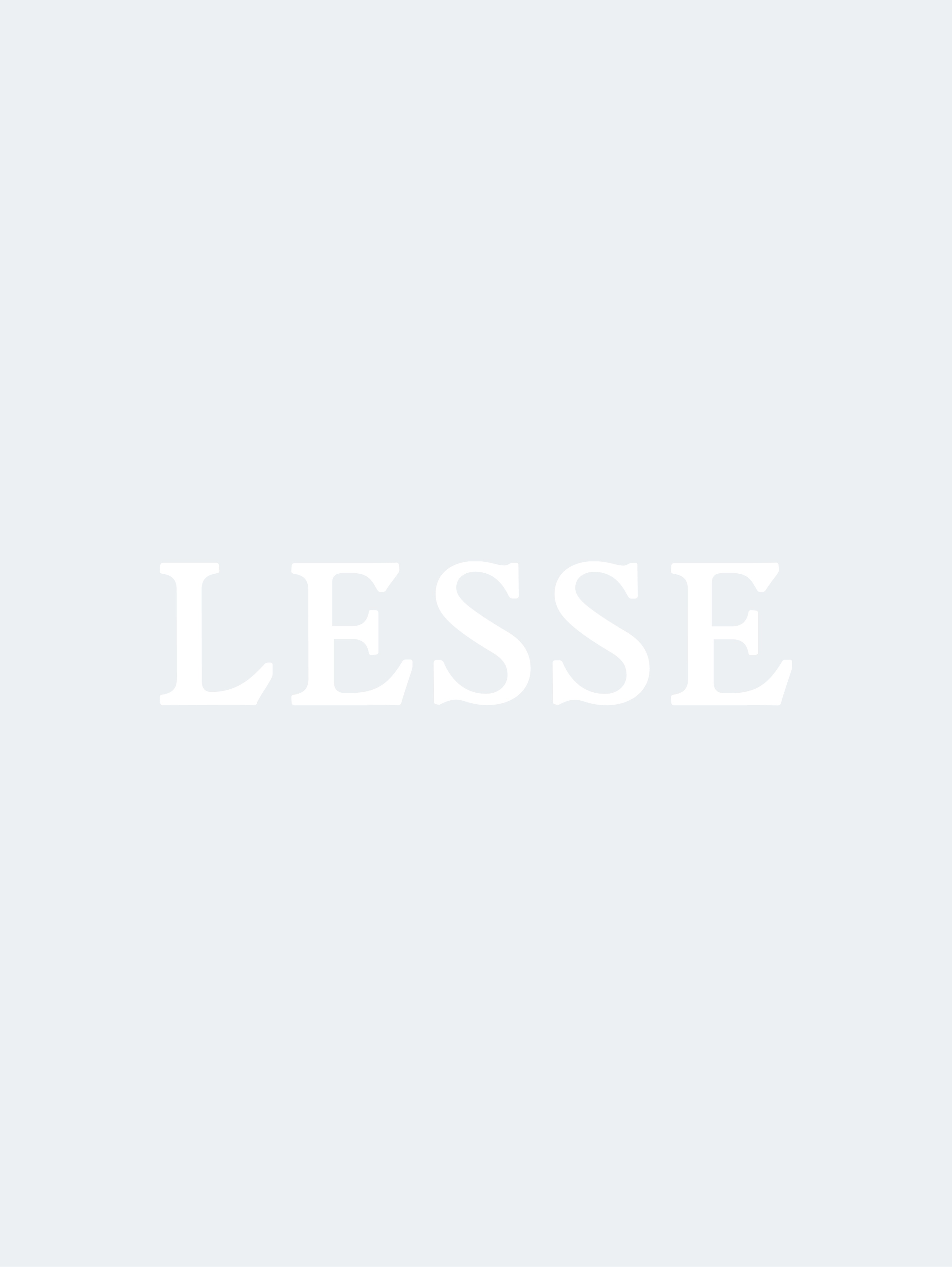 LESSE Wordmark