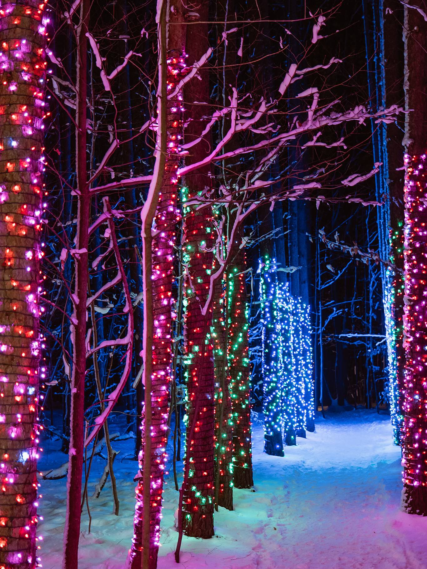 Enchanted Trail at The Highlands